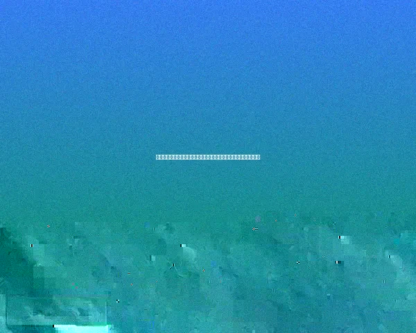 博塔弗戈巴甲痛失巨大积分领先优势赛季崩盘背后深层原因全景解析